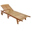 Dehner Rollliege Macao, Ca. B68/H100/T195 Cm -Moderne Garten Mobel Geschaft 4069357 WE FS 001 RollliegeMacaoNeu