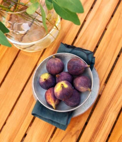 Dehner Aluminium-Lounge Malibu, 2-teilig -Moderne Garten Mobel Geschaft 4209870 WE DE 006 LoungeMalibuNEU