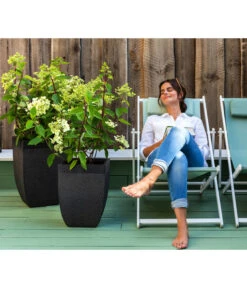 Dehner Strandstuhl Aruba 10 Dehner Strandstuhl Aruba -Moderne Garten Mobel Geschaft 4418422 WE MO 002 StrandstuhlArubaNeu