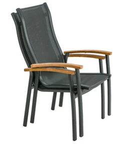 Dehner Stapelstuhl Chicago Wood 10 Dehner Stapelstuhl Chicago Wood -Moderne Garten Mobel Geschaft 6701866 WE FS 003 StapelstuhlChicagoWoodNEU